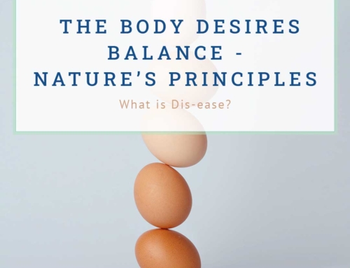 EDUCATIONAL SERIES #1: The Body Desires Balance – Nature’s Principles